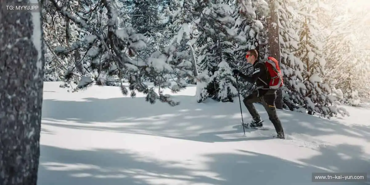 🎯 精准捕捉,不错过任何一个精彩瞬间!